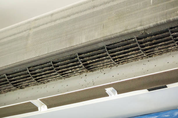 Best Affordable HVAC Duct Cleaning  in Frisco City, AL